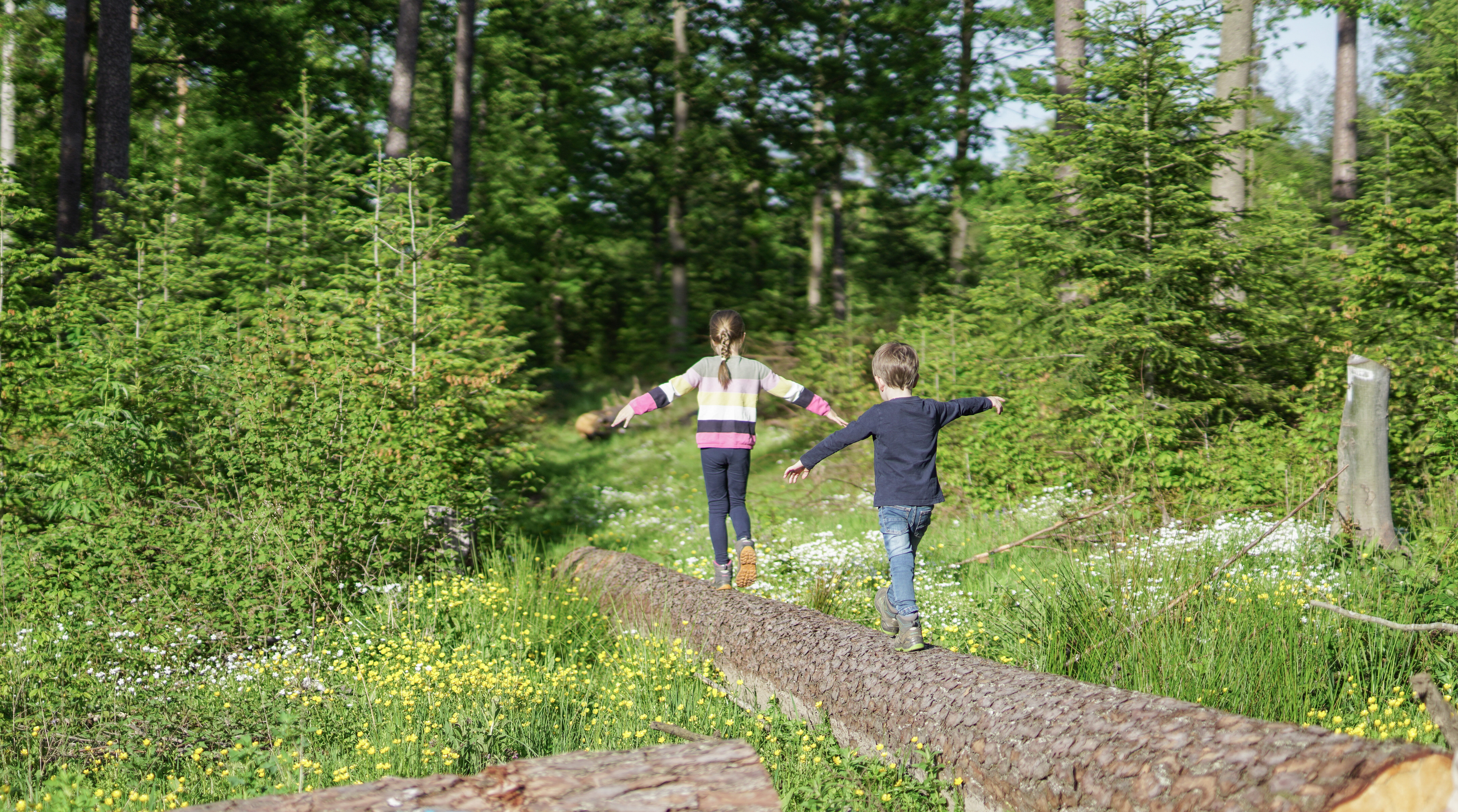 Evolutionspädagogik® für Kinder und Jugendliche